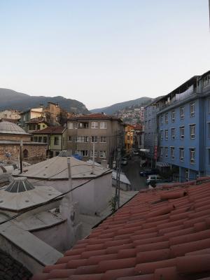 bursa